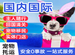 德宏航空货运国际宠物托运 【国